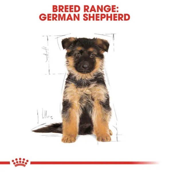 Royal Canin German Shepherd Puppy - Суха храна за малки кученца порода немска овчарка